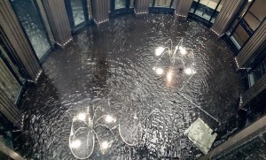 1980 - Shoto Museum - Seiichi Shirai