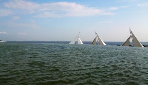 1989 - Tokyo Sea Life Park - Yoshio Taniguchi