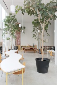 2011 - Shibaura House - Kazuyo Sejima